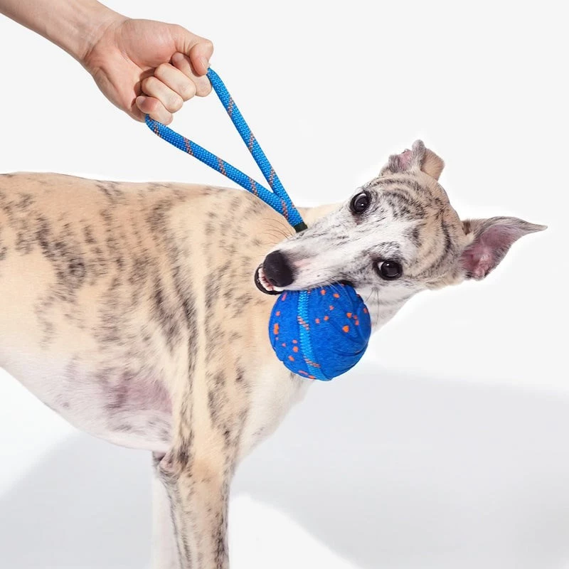 Cheerble Wicked Ball Air Rope juguete para perros, Royal Blue