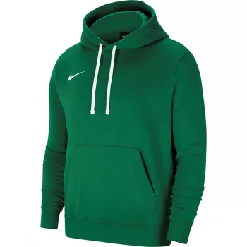 Nike Team Club 20 sudadera con capucha para hombre Verde pino/Blanco