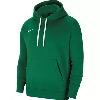 Nike Team Club 20 sudadera con capucha para hombre Verde pino