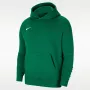 Nike Park 20 sudadera con capucha de forro polar Verde pino CW6896-302