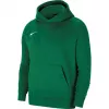 Nike Park 20 sudadera con capucha de forro polar Verde pino CW6896-302