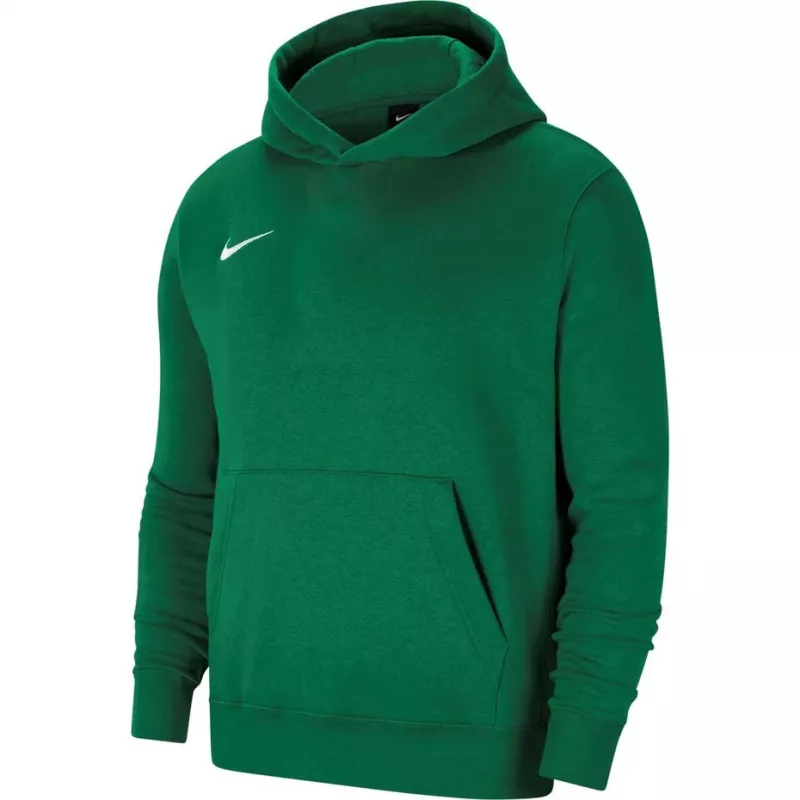 Nike Park 20 sudadera con capucha de forro polar Verde pino CW6896-302