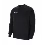 Nike Park 20 sudadera con capucha de forro polar para hombre Negro CW6902-010