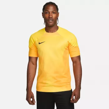 Camiseta de portero para hombre Nike Dri-FIT ADV Gardien IV Opti Yellow/negro M