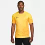 Camiseta de portero para hombre Nike Dri-FIT ADV Gardien IV Opti Yellow/negro M