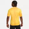 Camiseta de portero para hombre Nike Dri-FIT ADV Gardien IV Opti Yellow/negro M