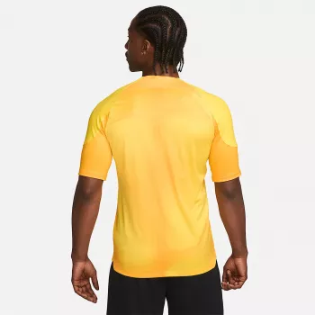 Camiseta de portero para hombre Nike Dri-FIT ADV Gardien IV Opti Yellow/negro M