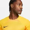 Camiseta de portero para hombre Nike Dri-FIT ADV Gardien IV Opti Yellow/negro M