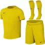 Nike Dri-FIT Park VIII conjunto de fútbol niños amarillo HV8260 719 XL