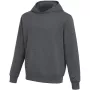 Nike Park 26 Sudadera con capucha Fleece Niños Gris oscuro S