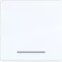 Hager W.1 Tecla de 1 elemento con lente transparente, Blanco luz brillante