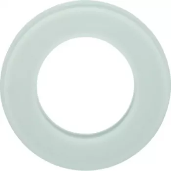 Hager WTD7180GWG Marco de cristal de 1 elemento, Serie Glas, Blanco polar