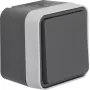 Hager WNC011 interruptor doble de superficie, serie W.1, IP55, gris