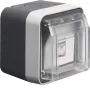 Hager WNC226 Toma de datos de superficie, apantallada, Cat.6 RJ45, 8 polos, IP55, gris, 1 puerto