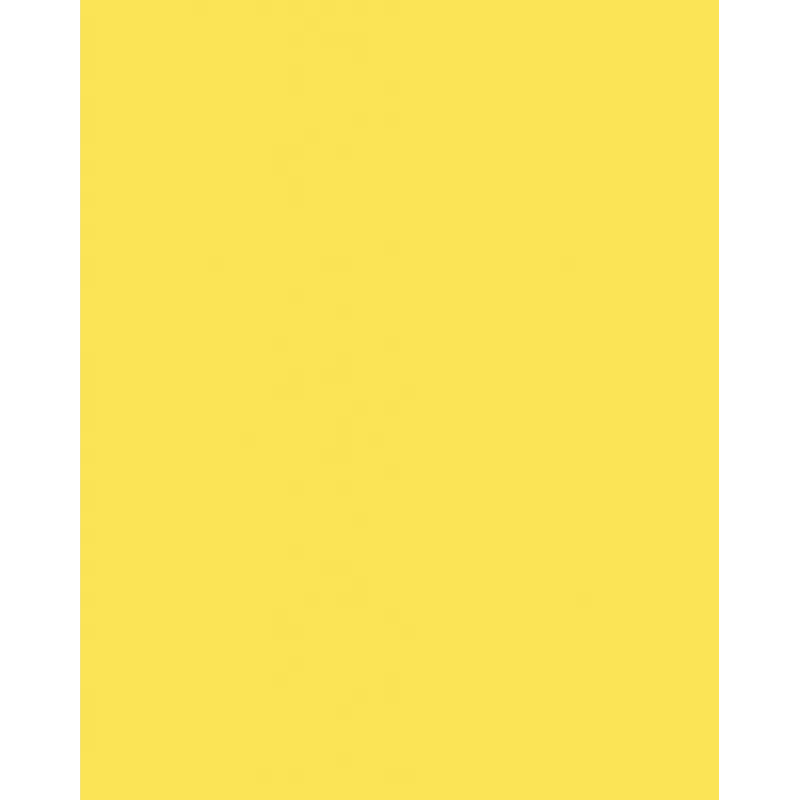 Folia 614/50 12 cartulina amarilla A4 300 g/m² 50 hojas