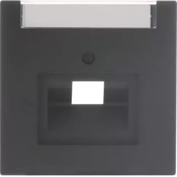 Busch-Jaeger future® linear tapa central 1 elemento UAE/IAE con campo de rotulación, blanco estudio