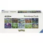 RAVENSBURGER Pokémon Celebration Journey puzzle de 40000 piezas