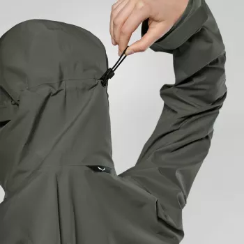 Salewa Chaqueta Puez GTX 3L para mujer Cactus Green