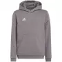 adidas Sudadera con capucha Entrada 22 Gris Joven 140 cm