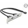 Delock placa de ranura USB 2.0 con 2 x puertos EASY-USB Type-A