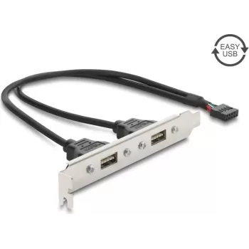 Delock placa de ranura USB 2.0 con 2 x puertos EASY-USB Type-A