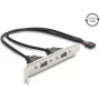 Delock placa de ranura USB 2.0 con 2 x puertos EASY-USB Type-A
