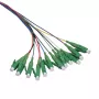 LogiLink set de pigtails de fibra 12 x LC/APC OS2 (G657.A1), 2m, colores, conector verde