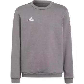 adidas Entrada 22 Sudadera con capucha niños gris sudadera H57477 (116 cm)