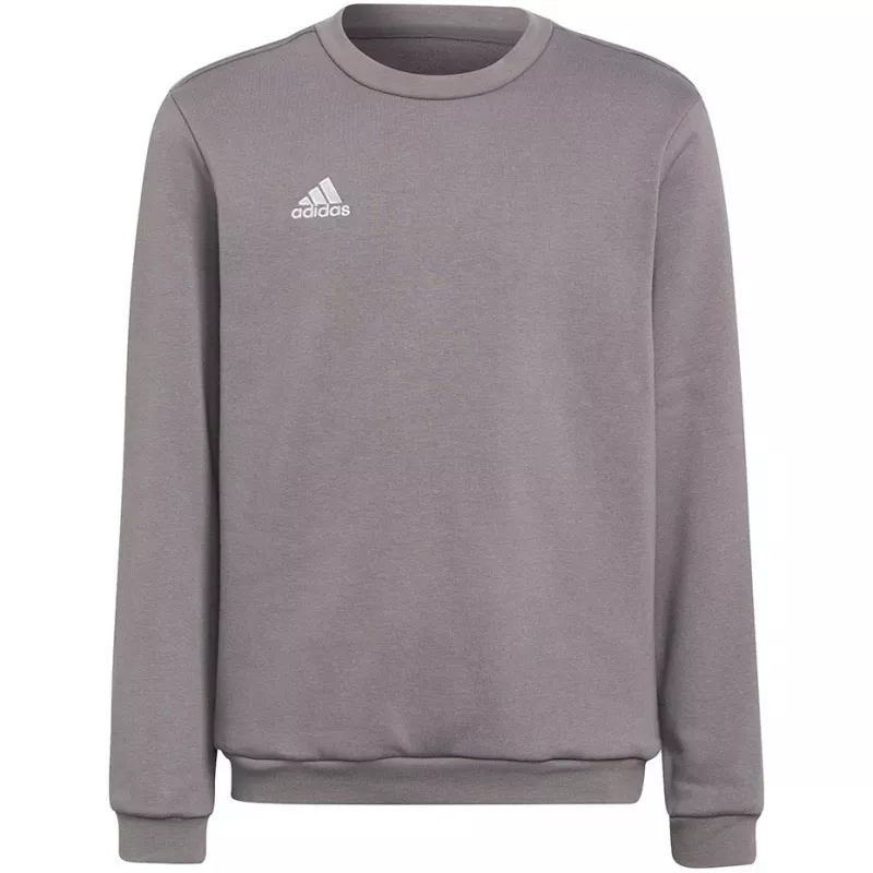 adidas Entrada 22 Sudadera con capucha niños gris sudadera H57477 (116 cm)