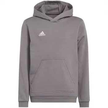 adidas Entrada 22 Sudadera con capucha para niños gris 116 cm
