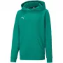 PUMA teamGOAL 23 Casuals sudadera con capucha junior verde bosque 128