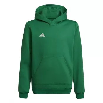 adidas Entrada 22 sudadera con capucha niños sudadera verde 116cm