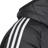 adidas Chaqueta de invierno Tiro 24 niños negro IP6670 140cm