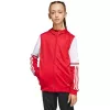 adidas Sudadera con capucha Squadra 25 niños Team Power Red/Blanco 164 cm