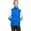 adidas Squadra 25 chaqueta de entrenamiento junior Team Royal Blue/blanco 140cm