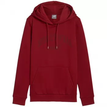 PUMA hombre Essentials+ Logo LAB sudadera con capucha FL Bordeaux talla L
