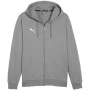 PUMA Sudadera con capucha Team Goal Casuals gris