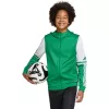 adidas Squadra 25 Sudadera con capucha Niños Verde/Blanco 152cm