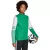 adidas Squadra 25 top de entrenamiento junior Team Green/blanco JP3160 128cm