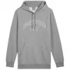 PUMA Essentials+ Logo LAB Gradient sudadera con capucha - gris medio jaspeado - hombre M