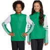 adidas Squadra 25 chaqueta de entrenamiento niños verde/blanco 116 cm