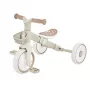 Triciclo didáctico Tribike 2 en 1 Plus 737-466