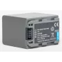 Batería de repuesto EXTRA DIGITAL para Sony NP-FP90 – InfoLITHIUM serie P Li-ion 7,2V 1220mAh