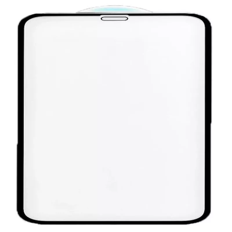 Evelatus Protector de pantalla de cristal Full Cover 2.5D con adhesivo japonés antistático para Apple iPhone XS Max/11 Pro Max