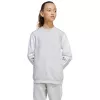 adidas Squadra 25 sudadera Crew para niños - gris (JD4824) 164 cm