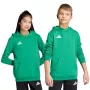 adidas Entrada 26 sudadera con capucha para niños JZ6563 Team Green 152 cm