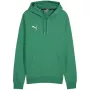 PUMA TeamGoal Casuals sudadera con capucha para hombre Forest Night Green jersey con capucha 658618 05