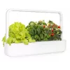 Click & Grow Smart Garden 9 huerto de interior de hierbas y verduras con lámparas de crecimiento LED, autorriego, 9 cápsulas de plantas, blanco