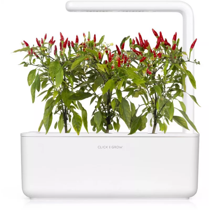 Click & Grow cápsulas de plantas de chile piri-piri para Smart Garden, pack de 3 (SGR67X3)