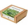 Click & Grow PPMAGX9 cápsulas de plantas Smart Garden pack de 9 (variedades mixtas, biodegradables, con tapas)
